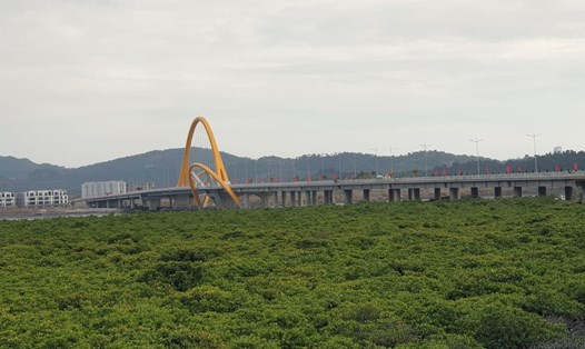 Cầu Cửa Lục 3. Ảnh: Nguyễn Hùng