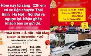 Car sharing and transfer car services are flourishing but difficult to control during the New Year