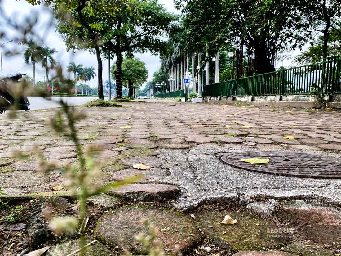 Đối với tuyến đường Hoàng Minh Thảo tại khu vực công viên Hòa Bình, để tổ chức làn xe đạp Sở Giao thông Vận tải Hà Nội kiến nghị UBND TP Hà Nội chỉ đạo cho sửa chữa vỉa hè, tạo đường ưu tiên cho xe đi hai chiều rộng 3 m.