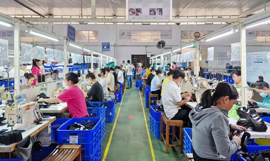 Một số doanh nghiệp dệt may tại Đà Nẵng ký được đơn hàng đến quý 1 năm 2024. Ảnh: Thùy Trang