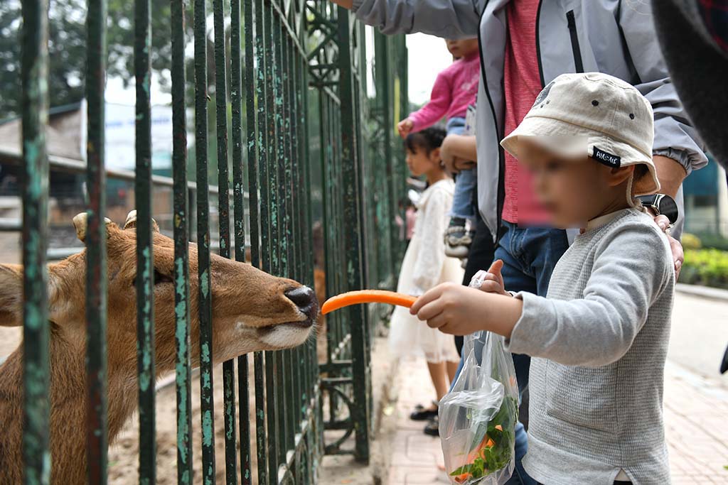  Những đồ ăn của các con vật được bán để du khách cho con vật ăn.