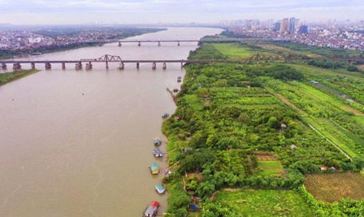 Bãi giữa sông Hồng thuộc địa phận quận Hoàn Kiếm. 
Ảnh: Phạm Đông