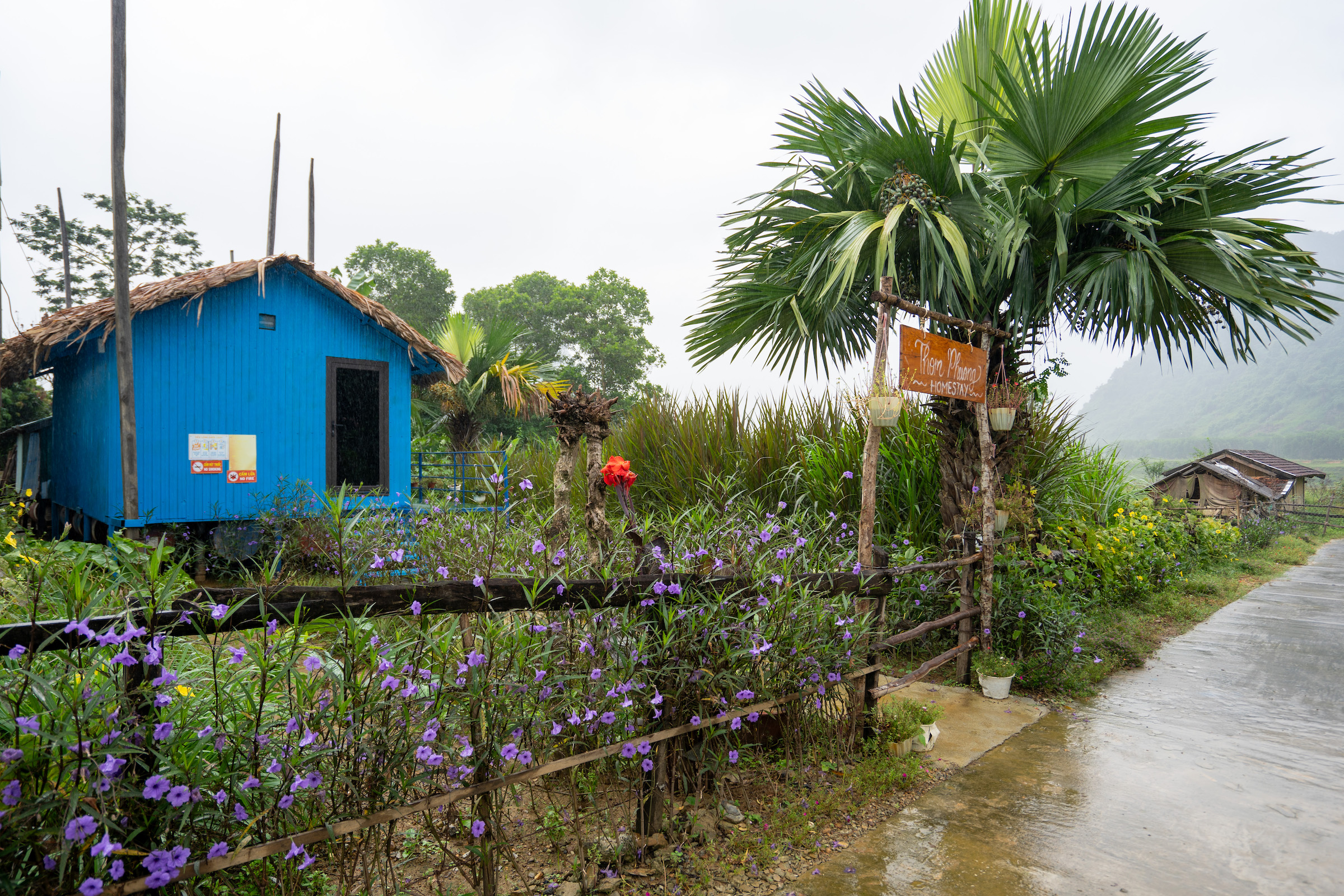 Nét đặc trưng của làng du lịch Tân Hóa chính là mô hình phát triển du lịch thích ứng thời tiết, với gần 620 căn nhà nổi được xây dựng ở xã Tân Hoá, đảm bảo 100% các hộ dân có thể thích ứng, an toàn và sống chung với lũ. Ảnh: Hoàng Trung