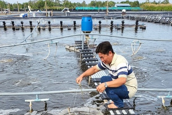 Vùng nuôi tôm siêu thâm canh cũng sẵn sàng chào đón Festival tôm Cà Mau và Diễn đàn kết nối sản phẩm OCOP Đồng bằng sông Cửu Long 2023. Ảnh: Nhật Hồ