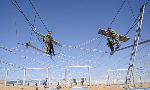 Công nhân lắp đặt các tấm quang điện tại dự án quang điện kiểm soát môi trường sa mạc lớn nhất Trung Quốc ở sa mạc Kubuqi, Nội Mông. Ảnh: Xinhua