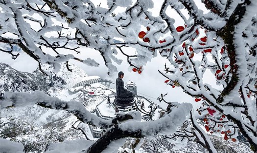 Những toạ độ có thể săn tuyết dịp cuối năm. Ảnh: Đơn vị cung cấp.