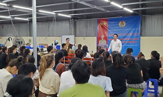 Thành lập CĐCS Công đoàn Công ty TNHH Baller Headwear Việt Nam thuộc Công đoàn Khu công nghệ cao và các khu công nghiệp Đà Nẵng. Ảnh: Thành Danh
