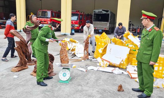 Lực lượng chức năng tỉnh Hà Giang kiểm tra, xác định khối lượng gỗ quý được vận chuyển trái phép trên xe thư báo. Ảnh: CAHG
