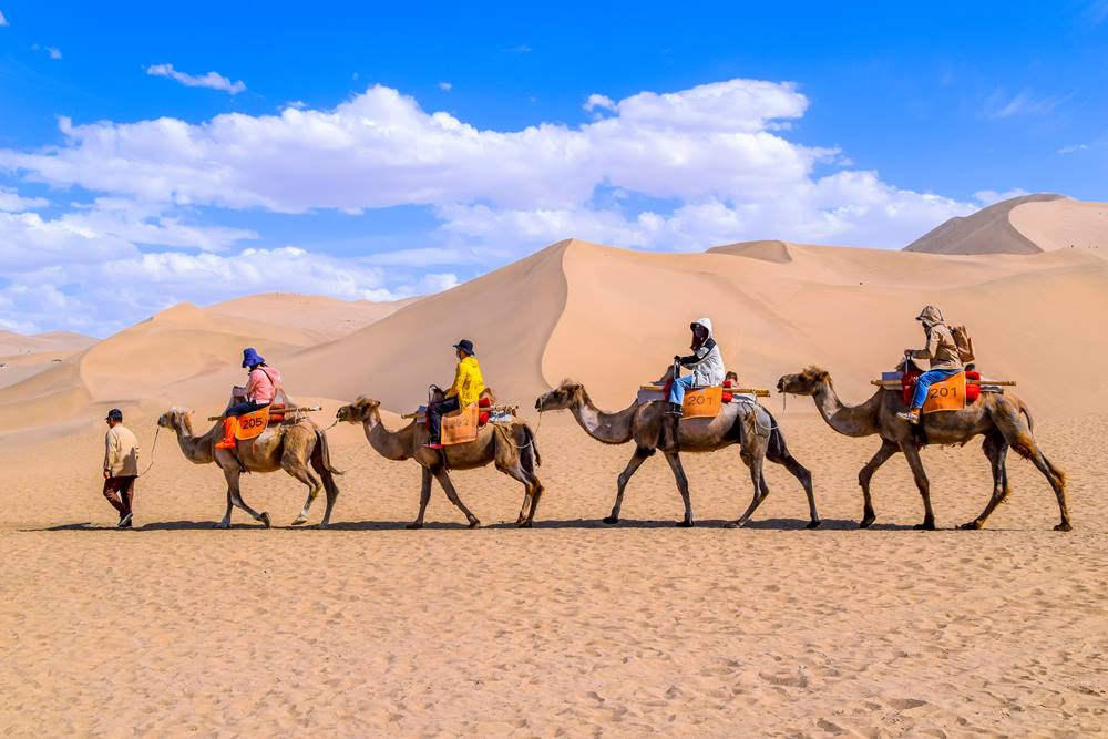 Một trải nghiệm mà bạn không nên bỏ lỡ khi tham quan Minh Sa Sơn đó là hoá thân thành những thương nhân cưỡi lạc đà qua những đồi cát vàng óng.