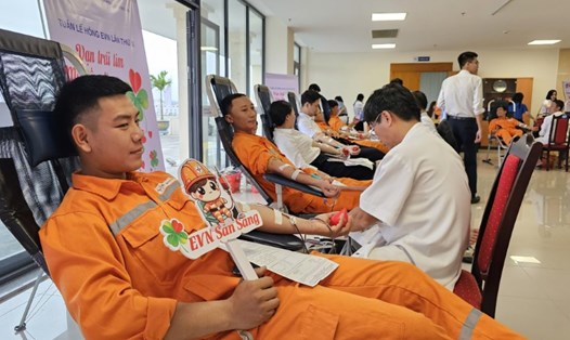Chương trình Tuần lễ hồng EVN tại Quảng Trị thu về 232 đơn vị máu. Ảnh: Minh Thành