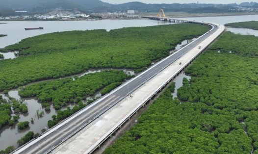 Cầu Cửa Lục 3 dự kiến sẽ được đưa vào sử dụng vào đầu năm 2024. Ảnh: Nguyễn Hùng