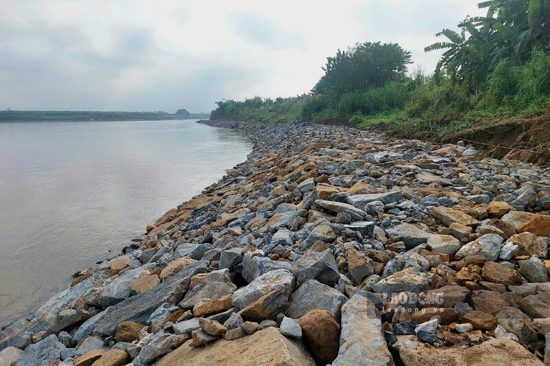 Thời gian qua, khi tuyến đê hữu Thao này bắt đầu xuất hiện tình trạng sạt lở do mưa lũ, được sự chấp thuận của UBND tỉnh Phú Thọ (tháng 6.2023), Sở NN&PTNT tỉnh đã đầu tư gần 80 tỉ đồng để khắc phục.