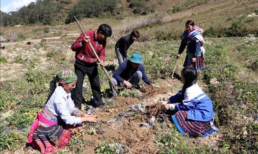 Nhiều hộ dân ở tỉnh Yên Bái giảm nghèo bền vững nhờ chương trình đào tạo nghề. Ảnh: UBND tỉnh Yên Bái 