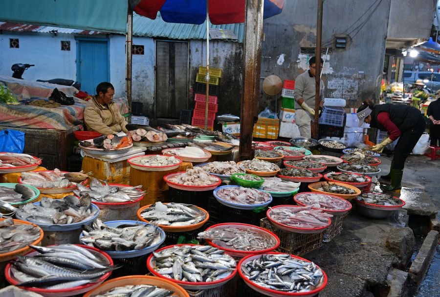 Hàng bán cá lúc chiều muộn.