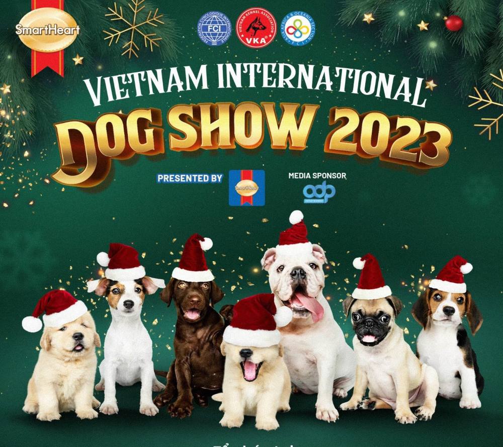 Hội thi chó giống Quốc tế lớn nhất Việt Nam chuẩn bị khởi tranh