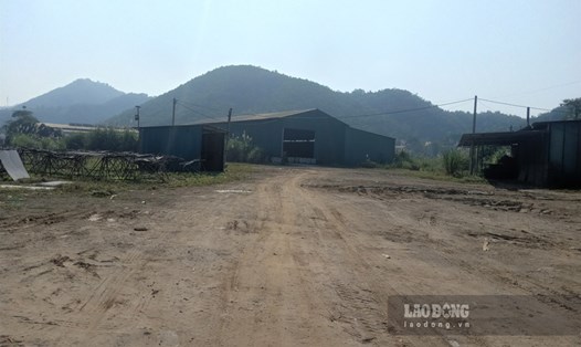 Xưởng gỗ không phép của Công ty Vinh Vân dừng hoạt động sau loạt bài phản ánh của Báo Lao Động. Ảnh: Đinh Đại