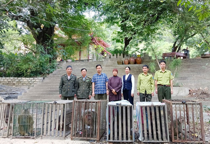 Trung tâm Cứu hộ, Bảo tồn và Phát triển sinh vật Hoàng Liên tiếp nhận các cá thể động vật hoang dã. Ảnh: Thanh Nam