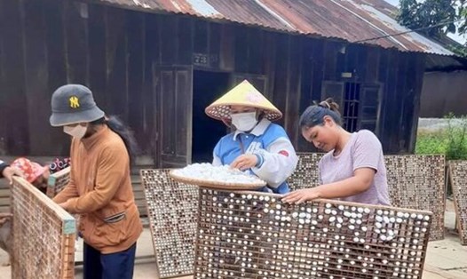 Năm 2023, Trung tâm Giáo dục nghề nghiệp - Giáo dục thường xuyên huyện Đam Rông đã mở được 14 lớp dạy nghề trồng dâu nuôi tằm cho 277 học viên tham dự. Ảnh: Bảo Lâm