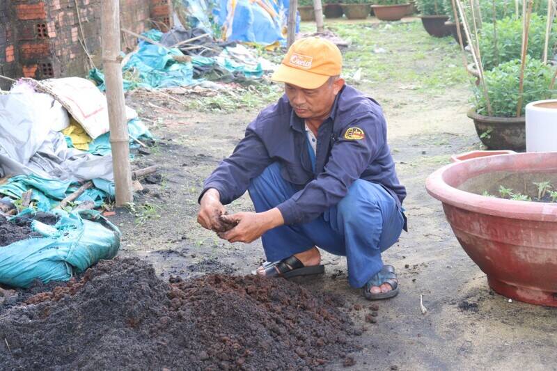 Người dân bắt đầu phun thuốc, bón phân cho hoa. Ảnh: Nguyễn Linh