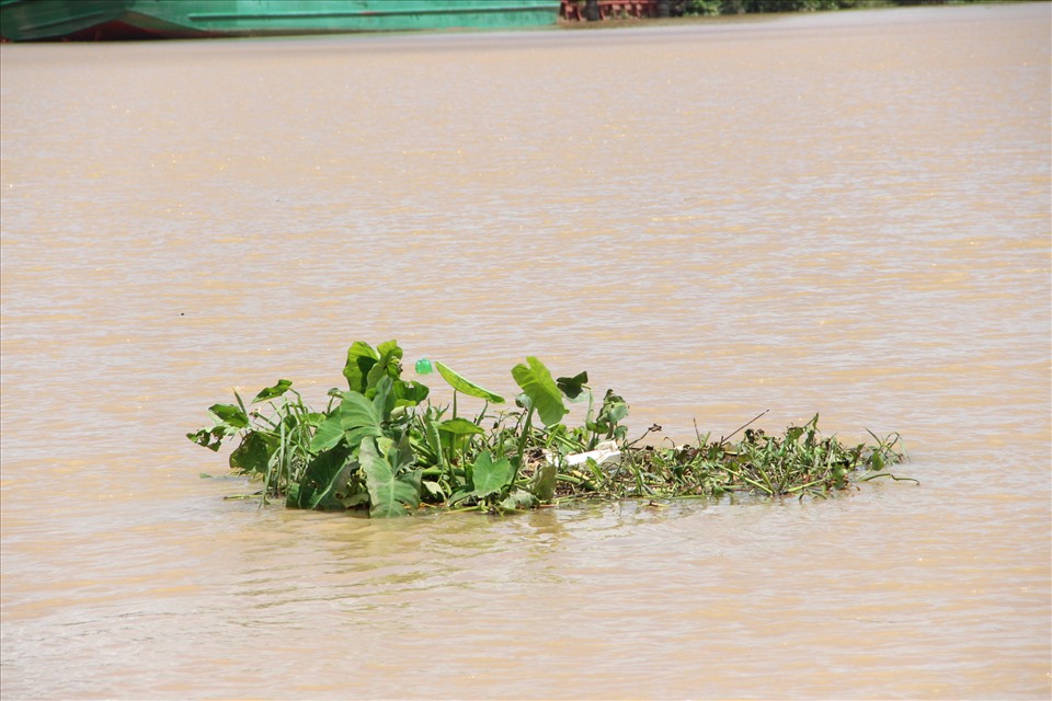Sông Đồng Nai từng xảy ra nhiều vụ đuối nước, mất tích. Ảnh: Đình Trọng