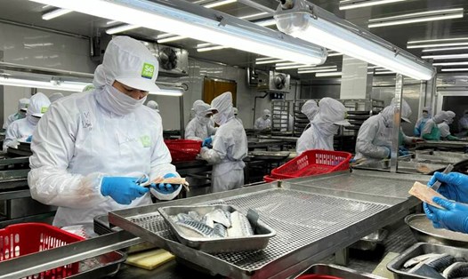 Công nhân của Công ty Sài Gòn Food được đảm bảo thưởng Tết 2 tháng lương. Ảnh: Công ty Sài Gòn Food cung cấp