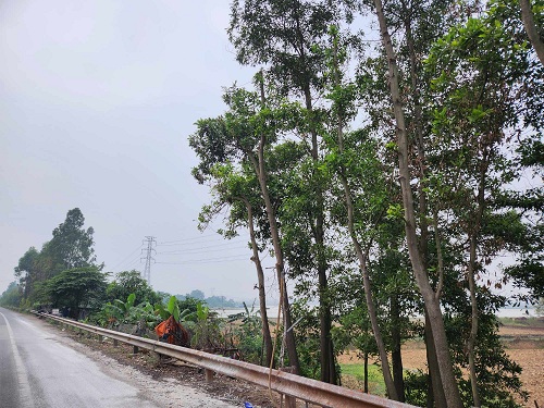 Sau phản ánh Báo Lao Động vi phạm trên QL18 đã được dẹp bỏ. Ảnh: Minh Hạnh 