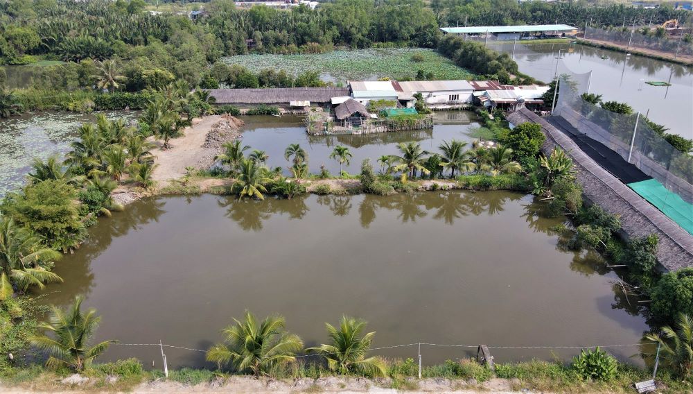 Theo ghi nhận của Lao Động ngày 9.12, đa số diện tích thuộc dự án vẫn là đất trống, ao hồ, dừa nước, cây dại và rải rác nhà người dân còn bám trụ lại. 