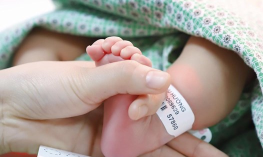 Lấy mẫu máu gót chân trẻ sơ sinh để sàng lọc sơ sinh tại Bệnh viện Phụ sản Hà Nội. Ảnh: BVCC