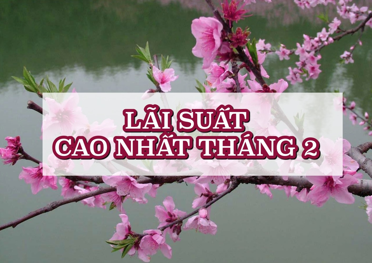 Lãi suất ngân hàng hôm nay 2.2: Có nơi giảm nhẹ, có ngân hàng cao 13% ...