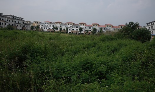 Một dự án BĐS bị bỏ hoang ở quận Nam Từ Liêm, Hà Nội. Ảnh: Hải Nguyễn