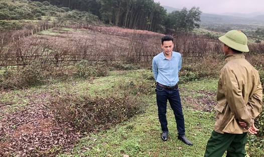 Hiện trường nơi người dân phát quang, chiếm đất của Công ty CP chăn nuôi Bình Hà để trồng keo mà một người dân đang thông tin đến phóng viên Báo Lao Động. Ảnh: Quang Cường.