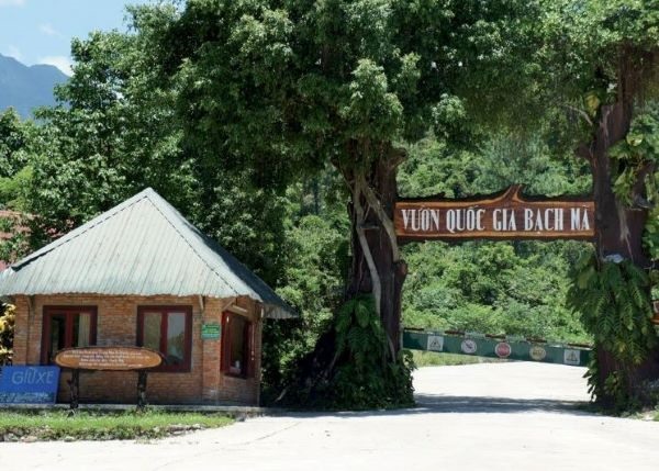 Bạch Mã được chọn để diễn ra giải chạy. Ảnh: Vườn quốc gia cung cấp