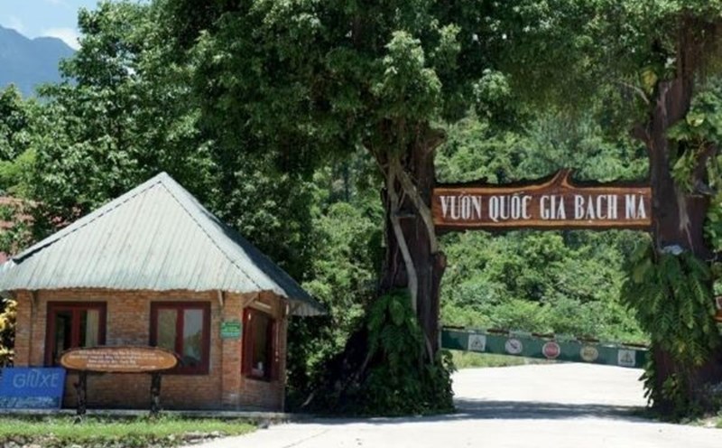 Bạch Mã được chọn để diễn ra giải chạy. Ảnh: Vườn quốc gia cung cấp