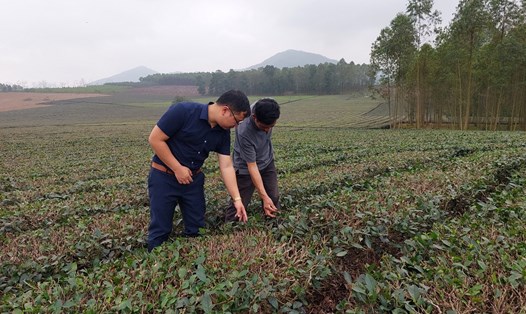 Về lâu về dài, ông Nguyễn Văn Thanh (bên phải) sẽ hướng HTX phát triển theo mô hình sinh thái, làng nghề gắn với du lịch cộng đồng. Ảnh: Anh Tâm