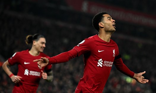 Gakpo có bàn thắng đầu tiên trong màu áo Liverpool. Ảnh: AFP