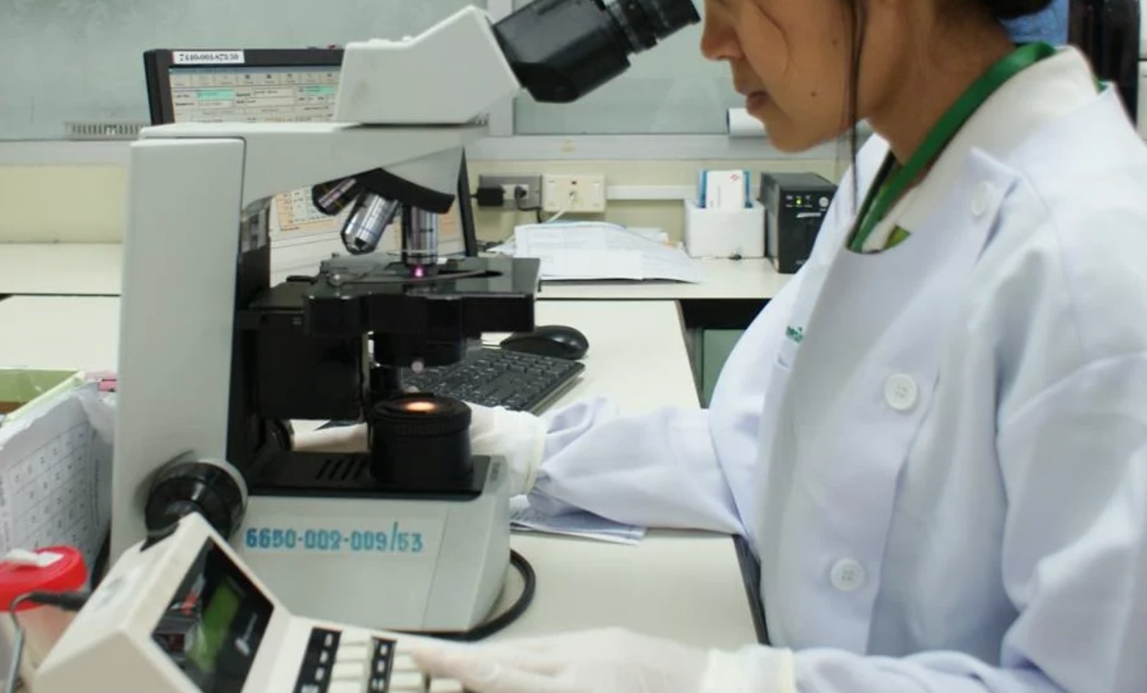 WHO tìm vaccine phòng ngừa virus Marburg. Ảnh: WHO