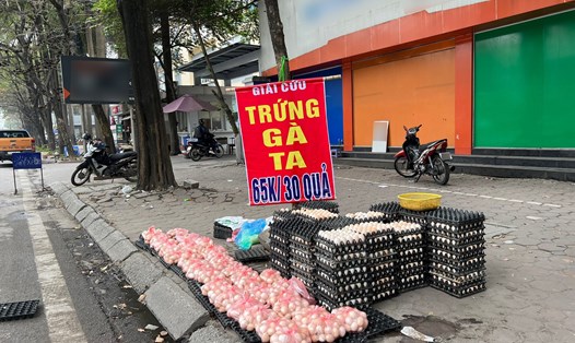 Một điểm bán giải cứu trứng gà trên đường Tôn Thất Thuyết. Ảnh: Nguyễn Thúy