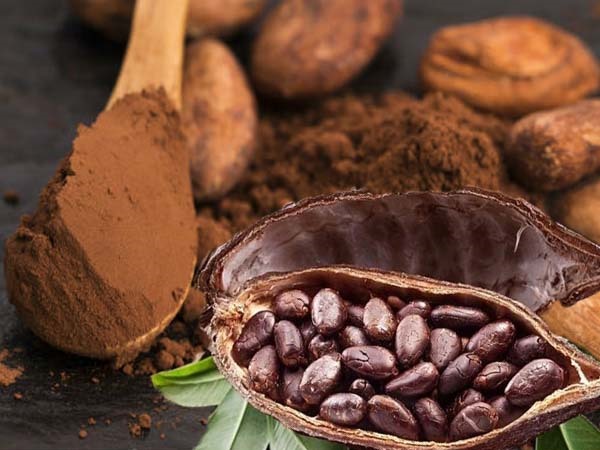 Bột ca cao không đường sẽ không làm tăng đường huyết. Đồ hoạ: Hạ Mây