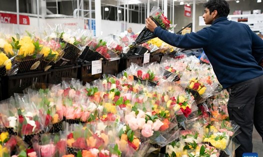 Một người đàn ông mua hoa nhân dịp Lễ tình nhân tại một siêu thị ở thành phố Foster, California, Mỹ, ngày 14.2.2023. Ảnh: Xinhua