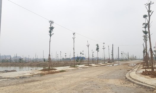 Nhiều khu đất ở Ninh Bình đấu giá xong không có người ở. Ảnh: Diệu Anh