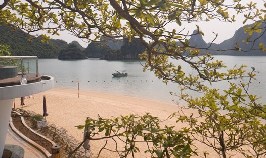 Đảo Ti-tốp, vịnh Hạ Long. Ảnh: Nguyễn Hùng