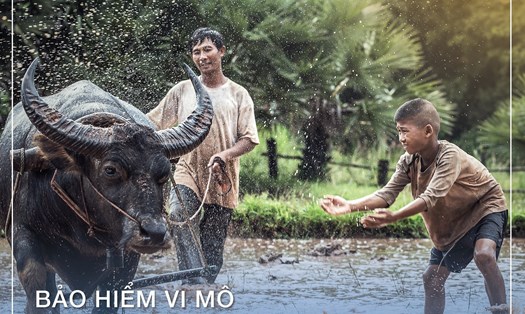 Ảnh: Bảo hiểm Bảo Việt