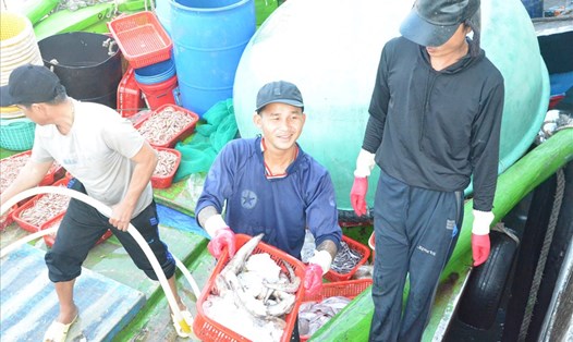 Ngư dân tại âu thuyền Thọ Quang, TP Đà Nẵng vui mừng đón những tàu đầy ắp cá, tôm trong ngày đầu năm. Ảnh: Nguyễn Linh