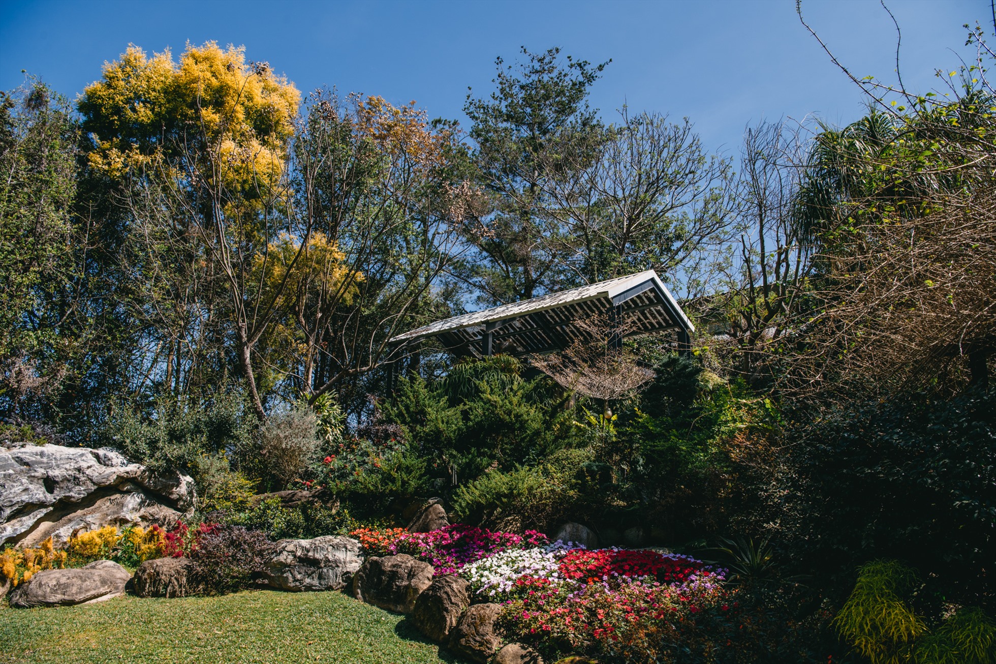 Khung cảnh thanh bình đẹp tựa một thước phim ở Đài Loan. Ảnh: Vũ Bảo Khánh