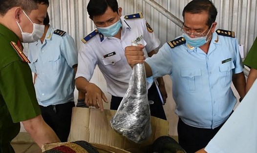 Số tang vật trên lô hàng từ Nam Phi về Việt Nam do Cục Hải quan thành phố Đà Nẵng  kiểm tra, phát hiện ngày 17.7.2021. Ảnh: ENV cung cấp