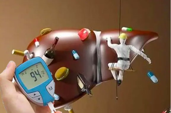 Gan nhiễm mỡ và tiểu đường có liên quan mật thiết đến nhau. Đồ hoạ: Hạ Mây