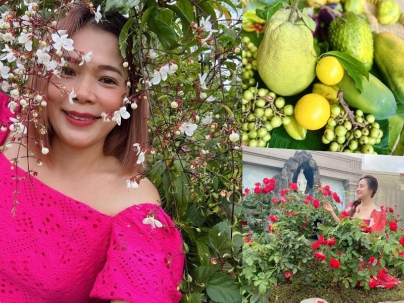Mỹ Lệ và loạt sao Việt thu hoạch hoa, cây ăn trái trong vườn tiền tỉ
