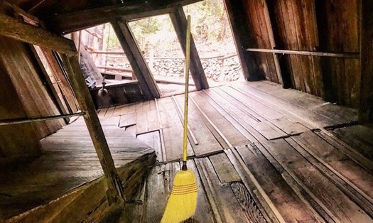 Cây chổi lơ lửng trong không trung ở Oregon. Ảnh: mrblackpedals