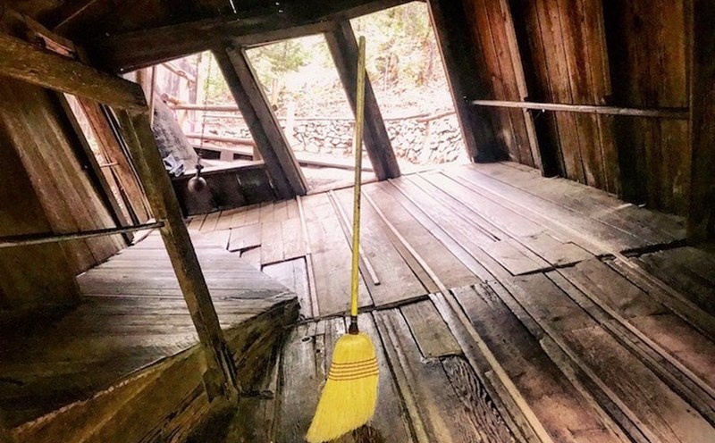 Cây chổi lơ lửng trong không trung ở Oregon. Ảnh: mrblackpedals