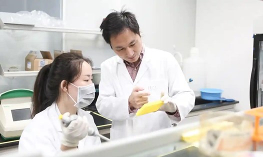 He Jiankui tiến hành nghiên cứu một cách đầy tham vọng nhằm tìm ra phương pháp chữa các căn bệnh nan y. Ảnh: Xinhua